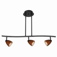 Benjara 3 Light 120V Metal Track Light Fixture With Glass Shade, Black And Brown