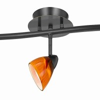 Benjara 5 Light 120V Metal Track Light Fixture With Glass Shade, Black And Orange