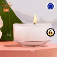 Hyoola Scented Tealight Candles Clear Cup Lily Tealight Candles Scented 6 Hour Burn Time 15 Pack European Made