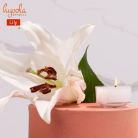 Hyoola Scented Tealight Candles Clear Cup Lily Tealight Candles Scented 6 Hour Burn Time 15 Pack European Made