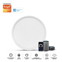 Taloya Smart Wifi Ceiling Light(12 Inch-24W), Compatible With Alexa,Google,Remote Controller, Fixture With Ambient Light For Bedroom Living Room