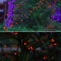 Twinkle Star 300 Led Halloween Mini String Lights 99 Ft Fairy Lights With Safe Adapter For Indoor Outdoor Home Garden Party Chr