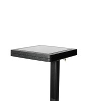 Contemporary Square Solar Path Light With 3 Ground Stake Mounting Options