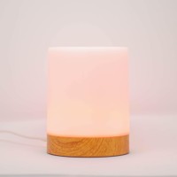 Luvlink Friendship Lamps (Single) Long Distance Friendship Lamps Are The Perfect Unique Gift For Friends, Families, Long-Distance Relationships, Loved Ones, Couples, Anniversaries & More