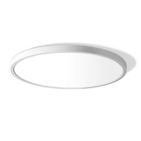 Lightingwill 12 Inch Led Flush Mount Ceiling Light Fixture, 2800K Warm White, 3200Lm, 24W, Flat Modern Round Lighting Fixture, 240W Equivalent White Ceiling Lamp For Kitchens, Bedrooms.Etc.