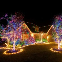 Homeleo 500 Led Outdoor String Lights, 100 Meters/330 Feet Christmas Lights Multicolored, Plug In 8 Modes For Outside Patio Fence Tree Decoration, Indoor Bedroom Living Room Decor(Multicolor)