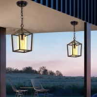 Capslpad Outdoor Pendant Light For Porch,1-Light Modern Metal Vintage Cage Hanging Lantern Light Adjustable Pendant Light Fixtures With Glass Shade For Porch,Entryway,Doorway,Farmhouse,Foyer