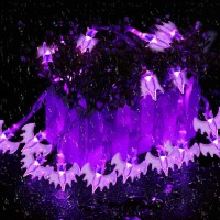 Dytesa Halloween Solar String Lights 213 Ft 30 Led Purple Bat Led Lights Ip65 Waterproof For Halloween Outdoor Indoor Party De