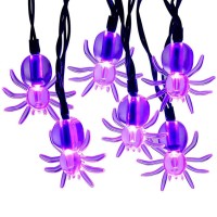 Dytesa Halloween Solar String Lights 213 Ft 30 Led Purple Spider Led Lights Ip65 Waterproof For Halloween Outdoor Indoor Party