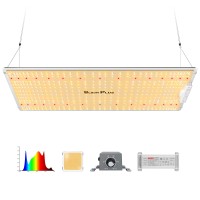 Bloom Plus Led Grow Lights Bp 2500W 2X4Ft Coverage Grow Light Use With 646Packs Samsung Diodesincludes Ir Dimmable Sunlike F