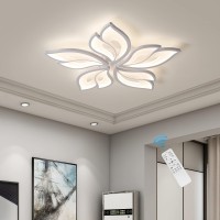 Garwarm Modern Ceiling Light,23.6Ͽ