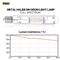 Ipower Glbulbm400X2V1 400W Grow Light Bulb Metal Halide Mh Conversion Lamp For Plants With High Par Enhanced Blue And Violet, 2 Count (Pack Of 1), Spectrums Cct 6000K