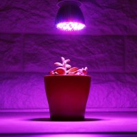 28Led Plant Grow Lamp Full Spectrum Plant Grow Bulb For Flower Vegetable Seedling