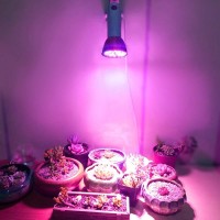 28Led Plant Grow Lamp Full Spectrum Plant Grow Bulb For Flower Vegetable Seedling