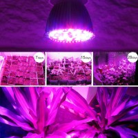 28Led Plant Grow Lamp Full Spectrum Plant Grow Bulb For Flower Vegetable Seedling