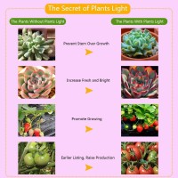 28Led Plant Grow Lamp Full Spectrum Plant Grow Bulb For Flower Vegetable Seedling