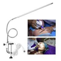 Desk Light With Clamp, Manicure Lamp Clip Table Lamps, Led Clip Light Usb Desk Light For Tattoo Manicure Office Home