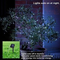 Solar Christmas Lights, 78.8Ft 200 Led Solar String Lights Outdoor Waterproof, 8 Lighting Modes Solar Fairy Lights For Indoor/Outdoor Garden, Patio, Yard, Christmas,Wedding Party Decor (White)