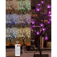 Tybeeu 20 Inch Cherry Blossom Bonsai Tree, Full-Color Diy Dimming And Mixing, With 24V Ul-Listed Adapter And Metal Base, Ideal As Night Lights, Rgb Color Changing Lights