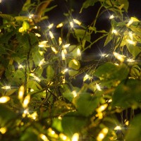 Twinkle Star 300 Led Christmas Mini String Lights, 99 Ft Fairy Lights With Safe Adapter For Indoor Outdoor Home Garden Xmas Tree Party Decoration, Warm White