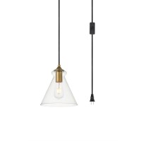 Destry 1 Light Brass Plug-In Pendant With Clear Glass