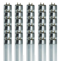 Goodbulb F28T8/841/Eco 28W 48 Inch T8 Fluorescent Light Bulb | 4100K Cool White Medium Bi-Pin Base | 2970 Lumens 86 Cri 36000 Life Hours | Instant/Programmed Start | 30 Pack