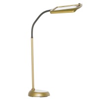 Daylight24 402039-55 Full Page 8 X 10 Inch Magnifier Led Illuminated Floor Lamp, Gold