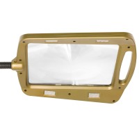 Daylight24 402039-55 Full Page 8 X 10 Inch Magnifier Led Illuminated Floor Lamp, Gold