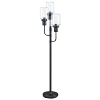 Emblaze your decor setting with the addition of this contemporary style inspired Floor Lamp which comes with 3 glass shades Crafted from metal and supported on a tubular frame it is sure to add an enchanting vibe to the aesthetics of your interior