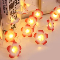 Fantasee 40 Led Pink Plumeria String Lights Foam Artificial Plumeria Flower Lights Battery Operated Fairy Lights For Bedroom Ho