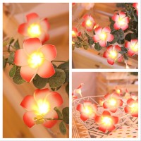 Fantasee 40 Led Pink Plumeria String Lights Foam Artificial Plumeria Flower Lights Battery Operated Fairy Lights For Bedroom Ho