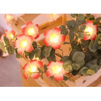 Fantasee 40 Led Pink Plumeria String Lights Foam Artificial Plumeria Flower Lights Battery Operated Fairy Lights For Bedroom Ho