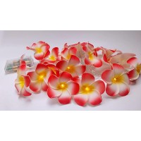 Fantasee 40 Led Pink Plumeria String Lights Foam Artificial Plumeria Flower Lights Battery Operated Fairy Lights For Bedroom Ho