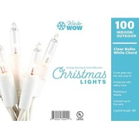 Winterwow Christmas Lights 100-Bulb 20 Ft White Wire Mini Indoor/Outdoor Incandescent Lights-1 Pack Clear