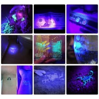 Alonefire Sv18 12W 365Nm Uv Flashlight Usb Rechargeable Ultraviolet Blacklight Pet Urine Detector For Resin Curing Fishing Min