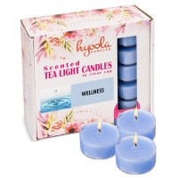 Hyoola Scented Tealight Candles Clear Cup Wellness Tealight Candles Scented 6 Hour Burn Time 15 Pack European Made