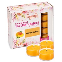 Hyoola Scented Tealight Candles Clear Cup Tropical Mango Tealight Candles Scented 6 Hour Burn Time 15 Pack European Ma