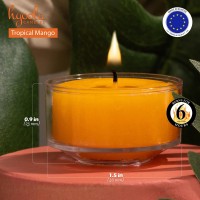 Hyoola Scented Tealight Candles Clear Cup Tropical Mango Tealight Candles Scented 6 Hour Burn Time 15 Pack European Ma