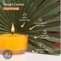 Hyoola Scented Tealight Candles Clear Cup Tropical Mango Tealight Candles Scented 6 Hour Burn Time 15 Pack European Ma