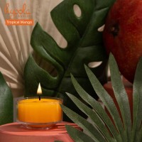 Hyoola Scented Tealight Candles Clear Cup Tropical Mango Tealight Candles Scented 6 Hour Burn Time 15 Pack European Ma