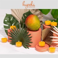 Hyoola Scented Tealight Candles Clear Cup Tropical Mango Tealight Candles Scented 6 Hour Burn Time 15 Pack European Ma