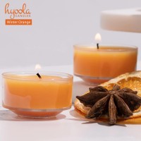 Hyoola Scented Tealight Candles Clear Cup Winter Orange Tealight Candles Scented 6 Hour Burn Time 15 Pack European Mad