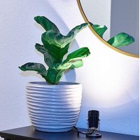 Led Indoor Spot Light For Plants Accent Lighting Uplight Down Spotlight For Potted Plants Home Living Room 3W Led Deco