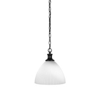 Carina Chain Hung Pendant In Matte Black Finish With 10.75