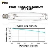 Ipower Glbulbh1000V1 Pressure Sodium Grow Light Bulb High Par Enhanced Red Orange Spectrums Cct 2100K Lamp For Plants, 1000W Hps New