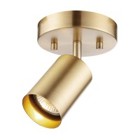 Globe Electric 59765 Pratt 1-Light Track Lighting Spotlight, Matte Brass, Gold