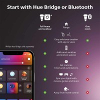 Philips Hue 65