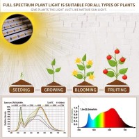 Bseah Grow Light Plant Lights For Indoor Plants, Full Spectrum Plant Grow Lights, 9 Dimmable Levels Auto On & Off With 3/9/12H Timer