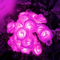 Berocia Rose Solar String Lights Outdoor Waterproof Decorative Pink Camping Rope Lights Weatherproof For Outside Patio Garden Yard Bedroom 22Ft 30 Led 8 Modes