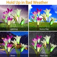 Angmln 6 Pack Solar Flowers Lights 24 Bigger Head Solar Lily Flowers 7 Color Changing Pathway Lamps For Garden Patio Yard Party